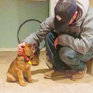 Meet your Posher, Chris